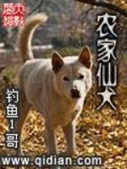 《农家仙犬》作者:钓鱼1哥