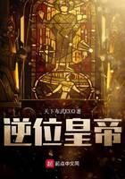《逆位皇帝》作者:天下布武EX