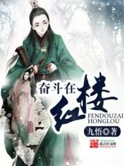 《奋斗在红楼》作者:九悟