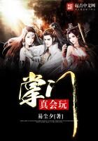 《掌门真会玩》作者：易尘夕