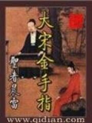 《大宋金手指》作者:圣者晨雷