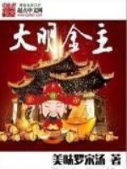 《大明金主》作者:美味罗宋汤