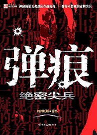 《弹痕》作者:纷舞妖姬