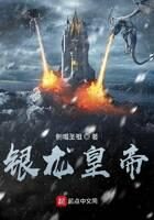 《银龙皇帝》作者：侧帽圣祖