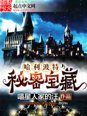 《哈利波特与秘密宝藏》作者:喵星人家的汪