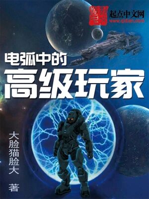 《电弧中的高级玩家》作者:大脸猫脸大