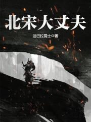 《北宋大丈夫》作者:迪巴拉爵士