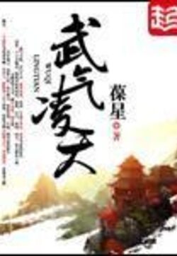 《武气凌天》作者:葆星