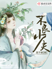 《不良少夫》作者:圆不破