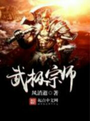 《武极宗师》作者:风消逝