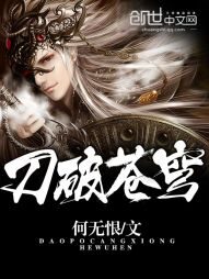 《刀破苍穹》作者:何无恨