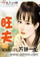 《旺夫》作者：万钟一心