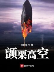 《颤栗高空》作者:奥比椰