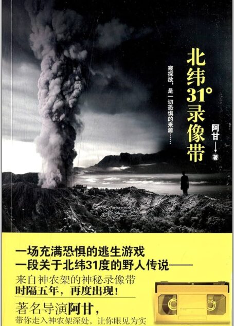 《北纬31度录像带》作者：阿甘