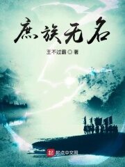 《庶族无名》作者:王不过霸