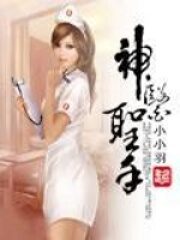 《神医圣手》作者:小小羽
