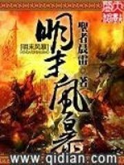 《明末风暴》作者:圣者晨雷