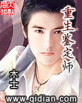 《重生鉴定师》作者:木士