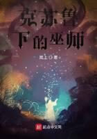 《克苏鲁下的巫师》作者:岚上
