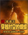 《穿越时空的蝴蝶》作者:老老王