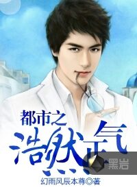 《都市之浩然正气》作者:幻雨风辰本尊