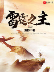 《雷霆之主》作者:萧舒