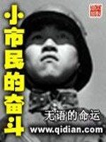 《小市民的奋斗》作者:无语的命运