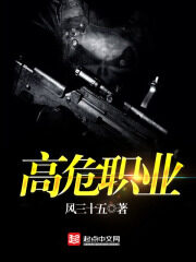 《高危职业》作者:风三十五