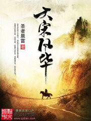 《大宋风华》作者:圣者晨雷