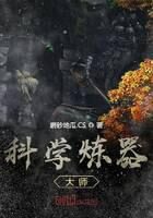 《科学炼器大师》作者:磨砂地瓜.CS