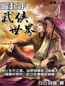 《崛起于武侠世界》作者:白云剑客