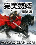 《完美赘婿》作者:吴笔