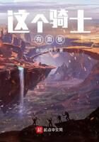 《这个骑士有面板》作者:赤魁小四