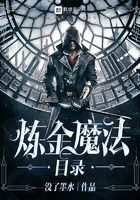 《炼金魔法目录》作者：没了墨水