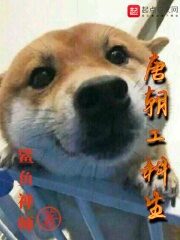 《唐朝工科生》作者:鲨鱼禅师