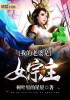 《我的老婆是女宗主》作者:树叶里的星星