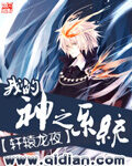 《我的神之系统》作者:轩辕龙夜
