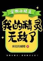 《宠物小精灵:我的精灵无敌了》作者:斑驳的蝴蝶