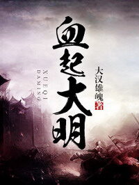 《血起大明》作者:大汉雄魂