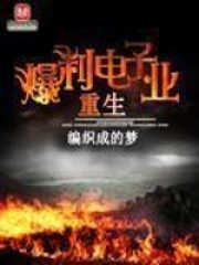 《重生爆利电子业》作者:编织成的梦