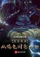 《百家神通：从鸡兔同笼开始》作者：秋天的大雁
