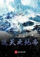《遮天之地帝》作者:石一开