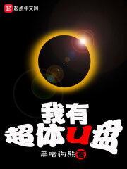 《我有超体U盘》作者:黑暗狗熊