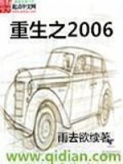 《重生之2006》作者:雨去欲续