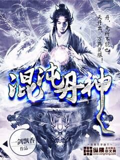 《混沌丹神》作者：一剑飘香