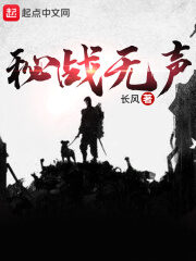 《秘战无声》作者:长风