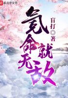 《氪命就无敌》作者:盲打