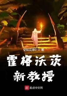 《霍格沃茨新教授》作者:空如花草0