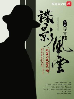 《谍影风云(民国谍影)》作者:寻青藤