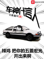 《车神代言人》作者:无限循环